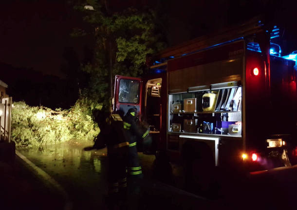 vigili del fuoco notte albero caduto alberi caduti allagamento