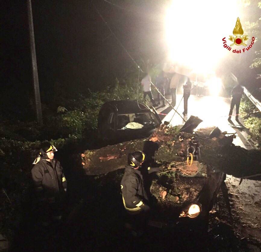 Albero cade su un'auto a Bodio Lomnago