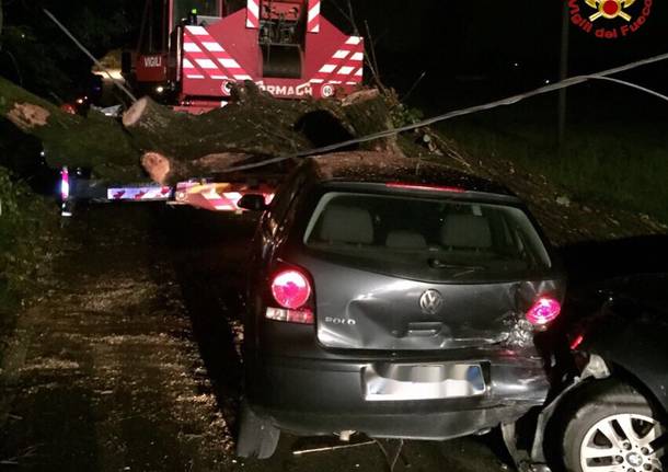 Albero cade su un’auto, paura a Bodio