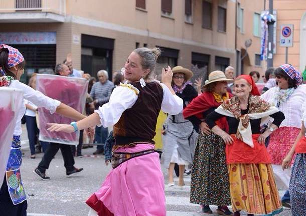 Aspettando la Festa dell'Uva