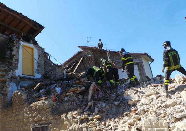 Cane salvato dalle macerie del terremoto