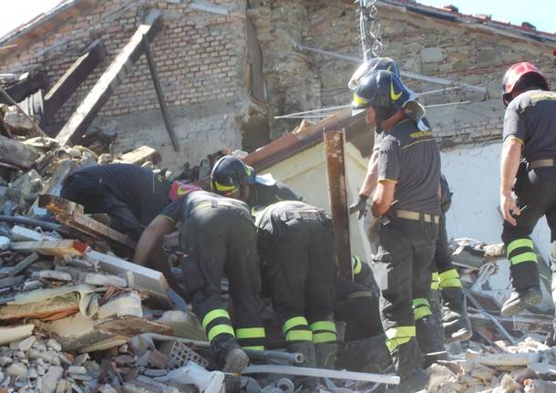 Cane salvato dalle macerie del terremoto