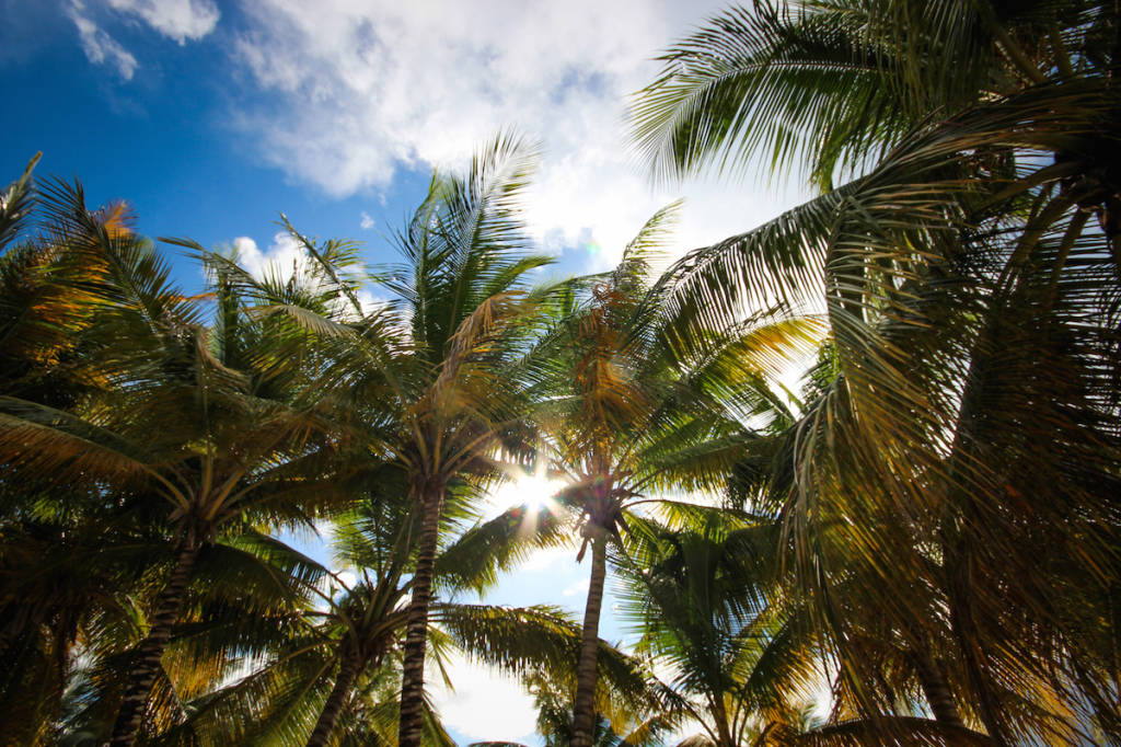 caraibi