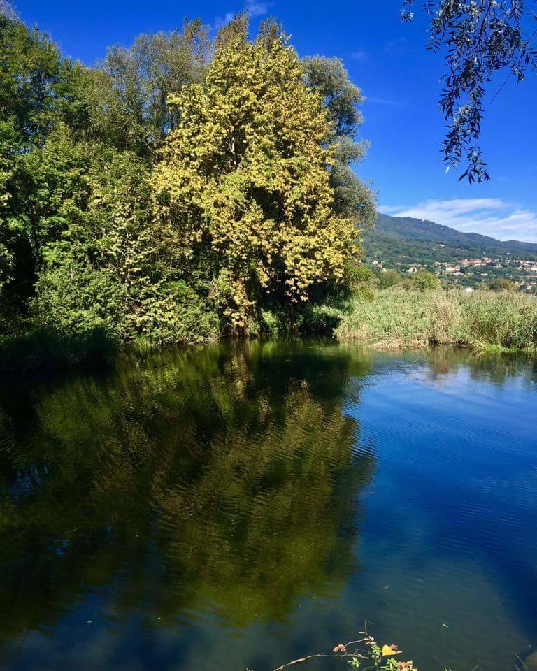 Perdersi nelle cose belle.