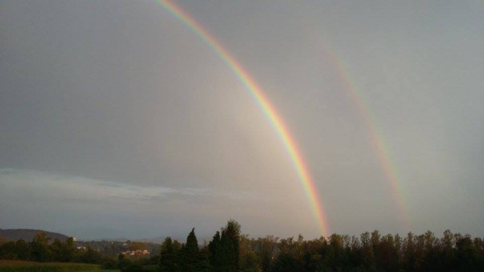 Se il buongiorno si vede dal mattino