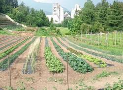 Caravate e Dumenza: laboratorio agricoltura. Cercasi volontari per nuovi laboratori