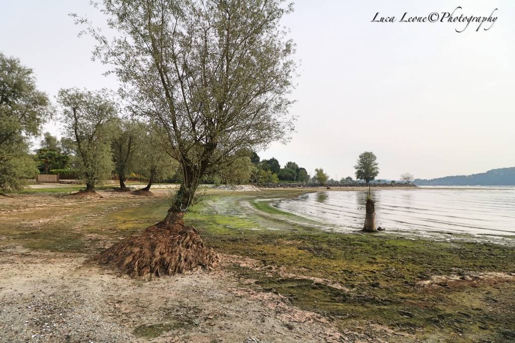Spiagge lunghe sul Verbano: è magra