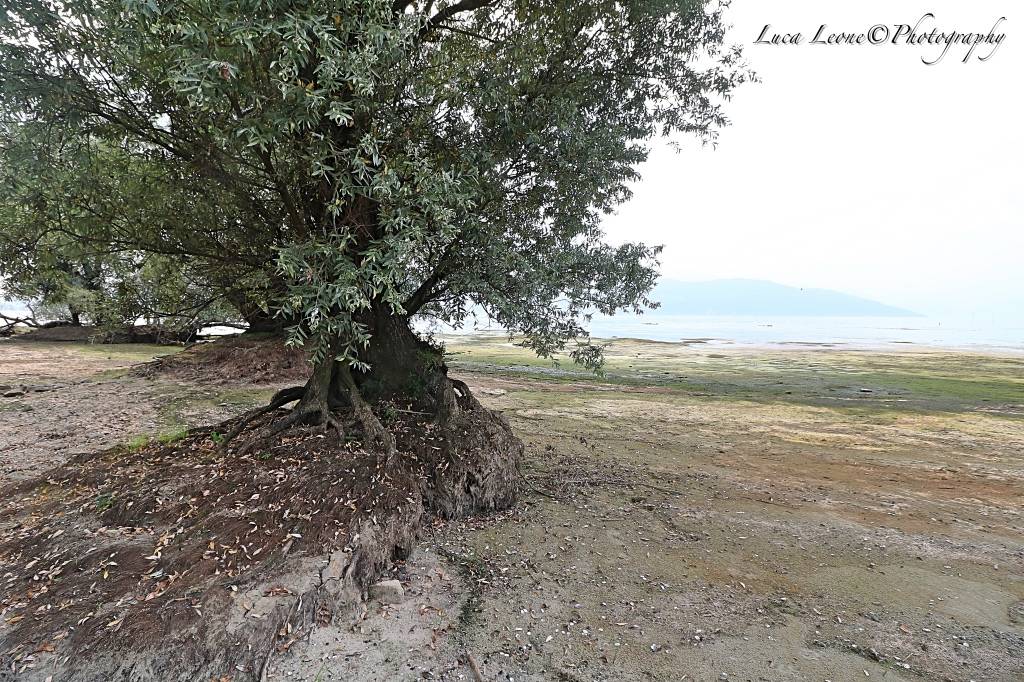 Spiagge lunghe sul Verbano: è magra