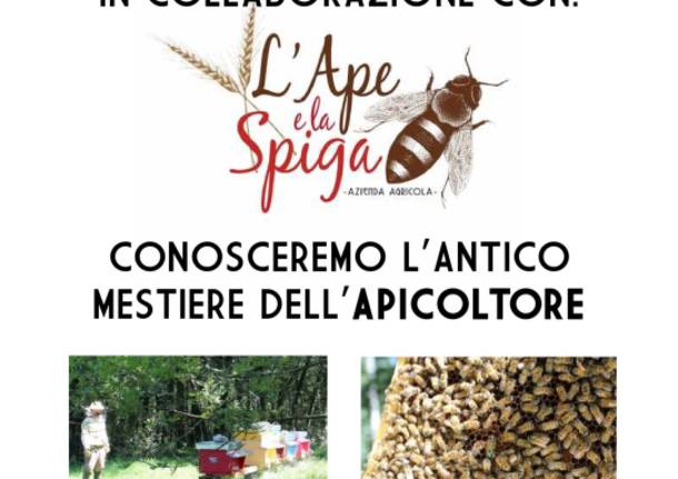 il mestiere dell\'apicoltore