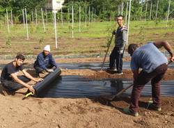 I migranti diventano agricoltori