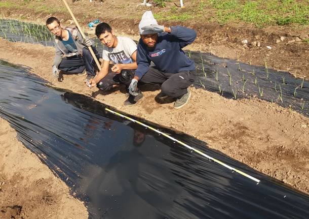 I migranti diventano agricoltori