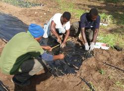 I migranti diventano agricoltori