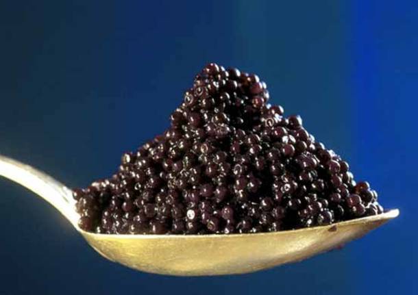 caviale