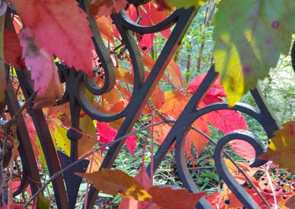 I colori autunnali di Villa Castiglioni a Induno