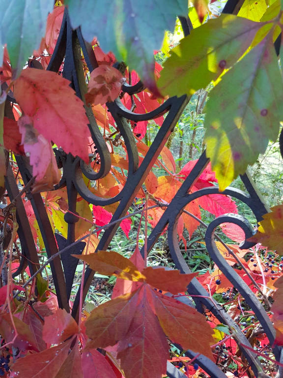 Colori autunnali a Villa Castiglioni a Induno Olona