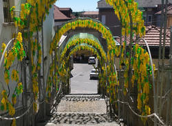 festa fiori san tito