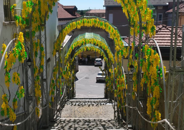 festa fiori san tito