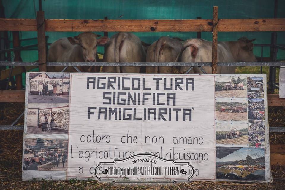 fiera degli agricoltori monvalle