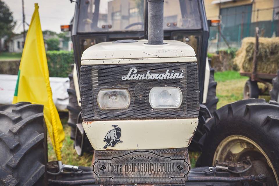 fiera degli agricoltori monvalle