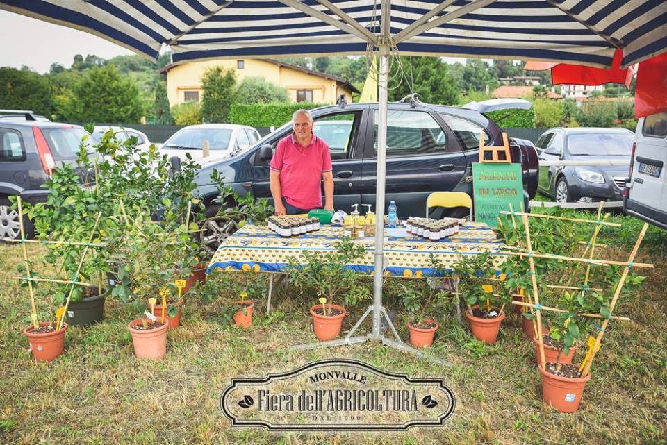 fiera degli agricoltori monvalle