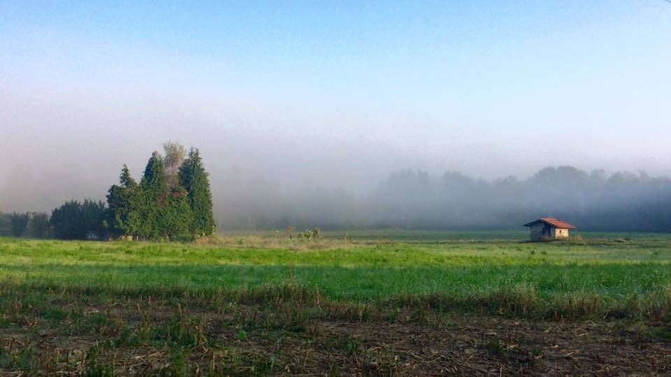 Foto del giorno settembre 2016