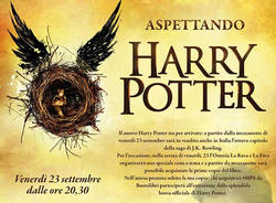 harry potter bustolibri.com