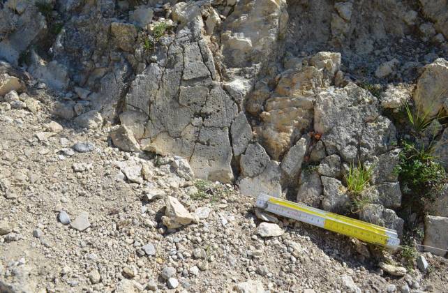 I geologi dell'Insubria studiano gli effetti del terremoto di Amatrice