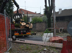 Il taglio dei tigli di San Macario