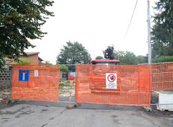 Il taglio dei tigli di San Macario