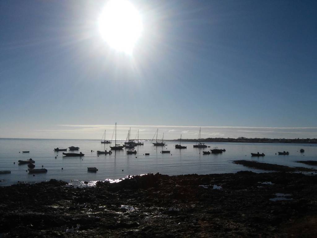Isole Canarie e Isla de Lobos