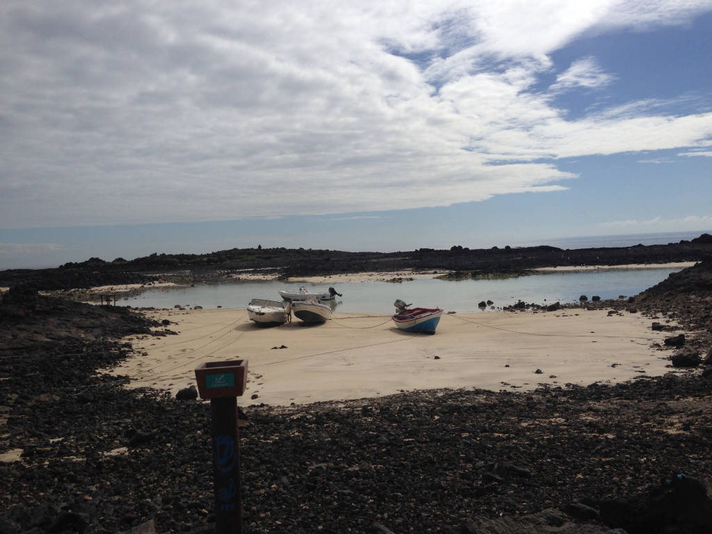 Isole Canarie e Isla de Lobos