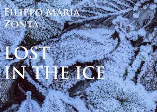 lost in ice