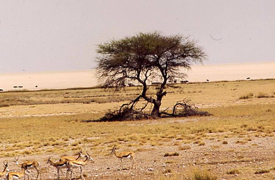 Namibia