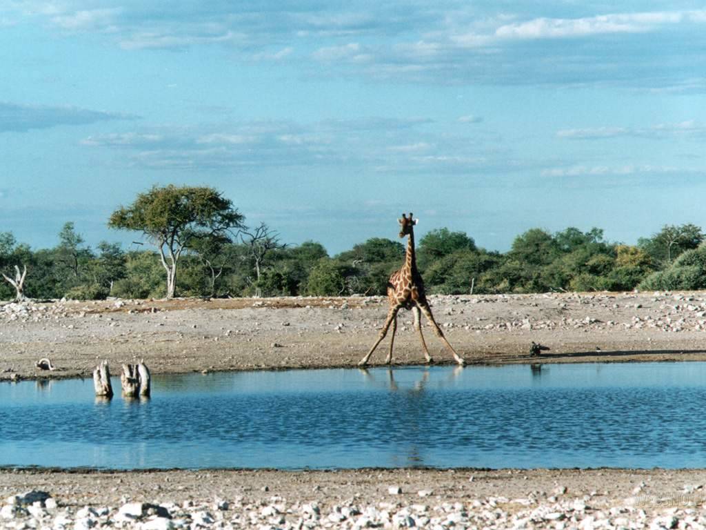 Namibia