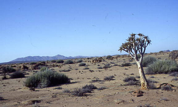 Namibia
