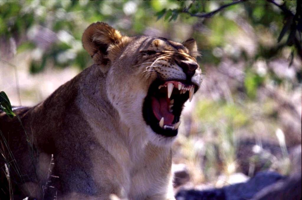 Namibia