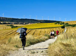 Pellegrinaggio a Santiago di Compostela