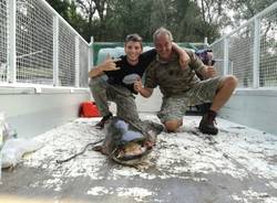 Pesce siluro di quasi 2 metri pescato nel lago di Varese