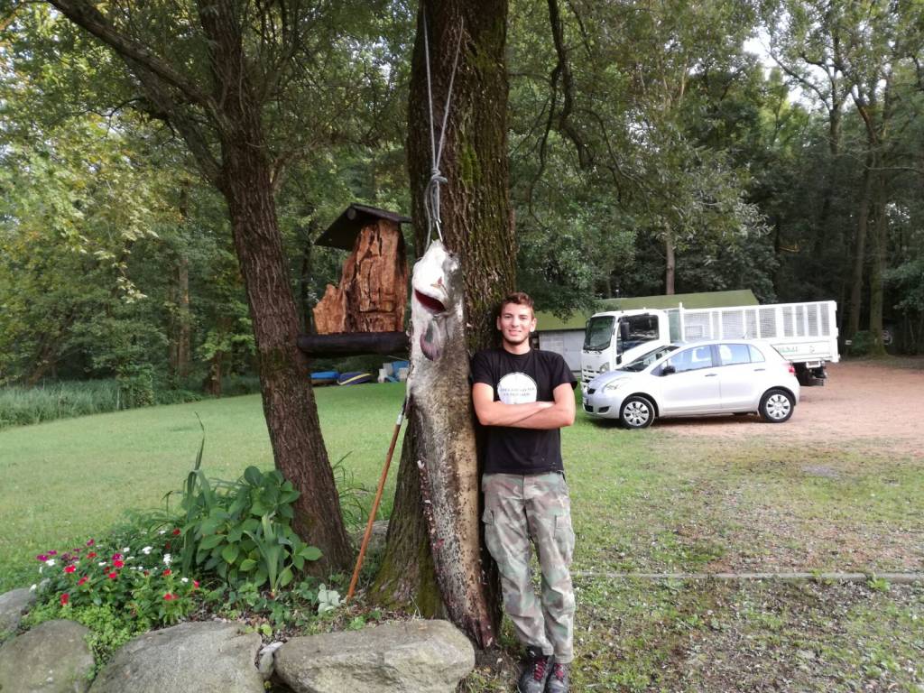 Pesce siluro di quasi 2 metri pescato nel lago di Varese