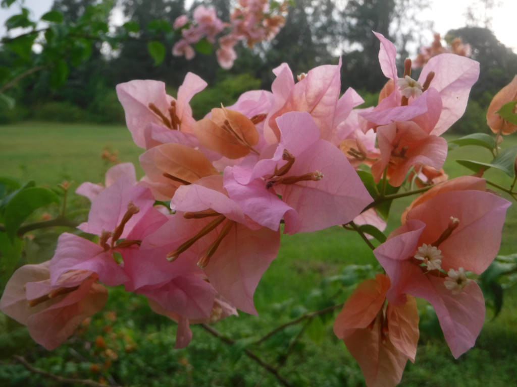 Seychelles vergine tra i Paradisi