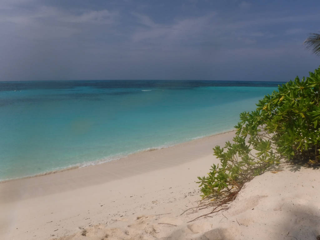 Seychelles vergine tra i Paradisi