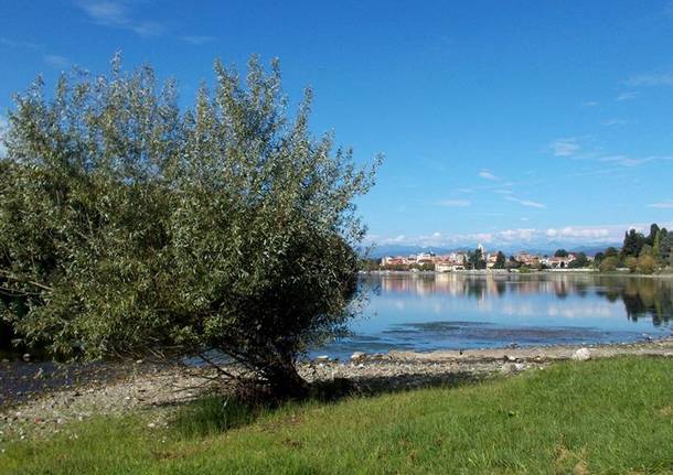 ticino secca sesto calende