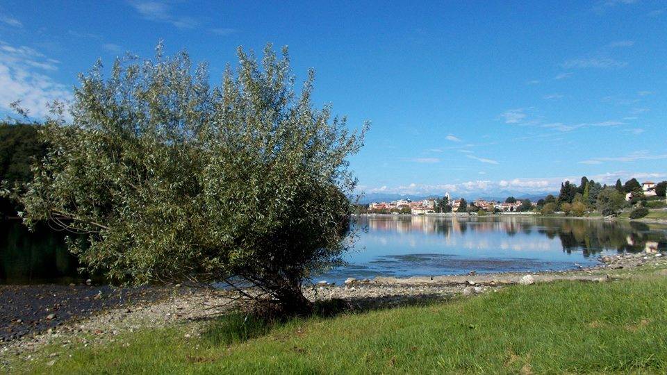 ticino secca sesto calende