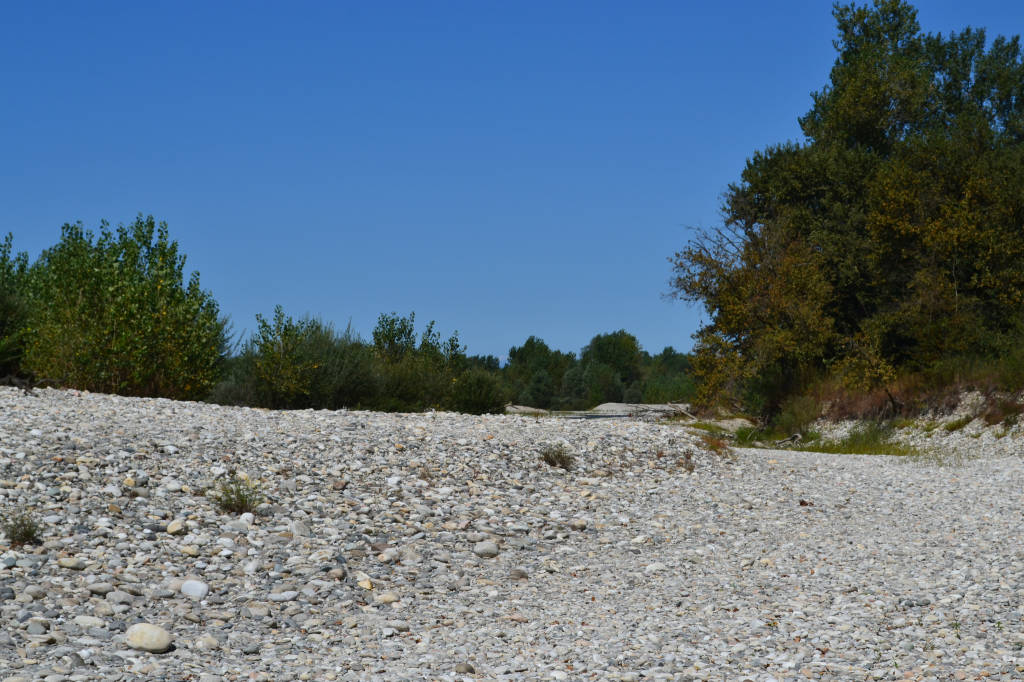 Il Ticino in secca