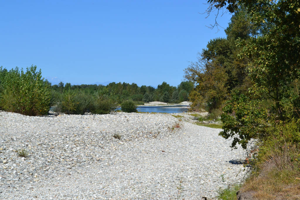 Il Ticino in secca