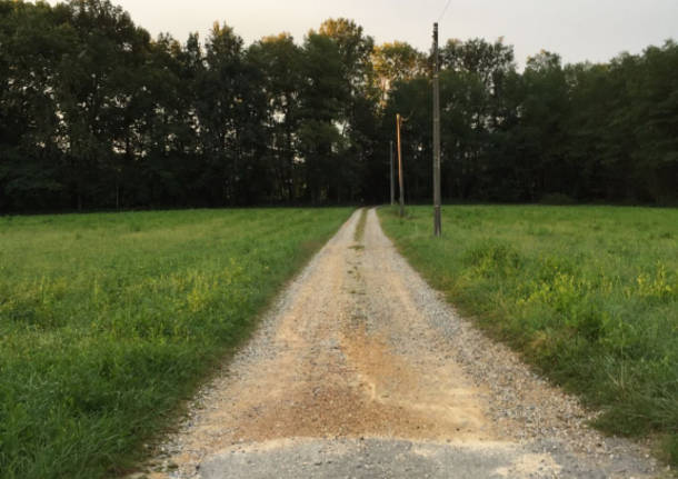 Via Molino Rocco: una strada "bianca" da salvare