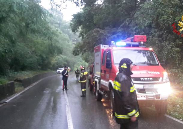 vigili del fuoco taglio piante