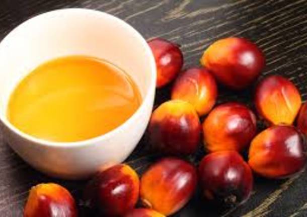 olio di palma