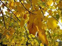 L\'autunno al castello