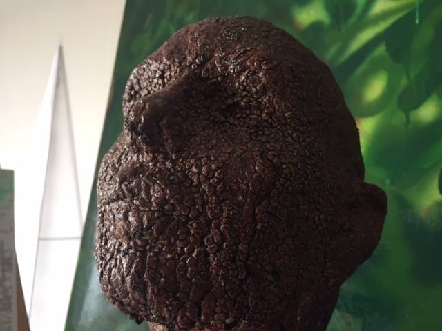 La scultura vivente